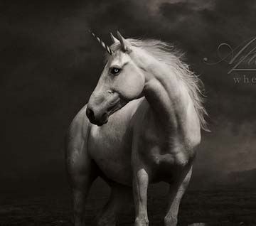 ddos网页在线攻击