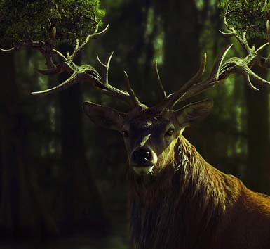 网站攻击工具手机版